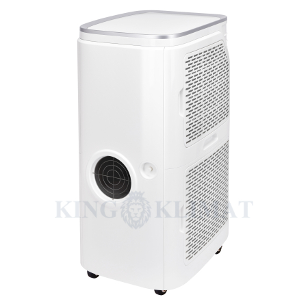 357671_electrolux_product_photo_mobile_air_conditioner_ice_column_2.jpg